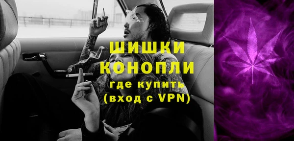 прущие грибы Зерноград