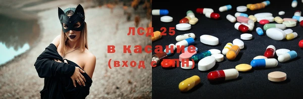 гашик Шадринск
