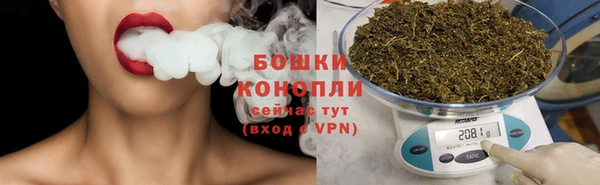гашик Шадринск