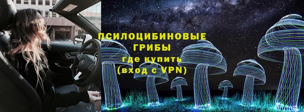прущие грибы Зерноград