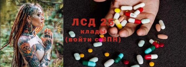 прущие грибы Зерноград