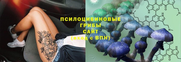 скорость Зеленокумск